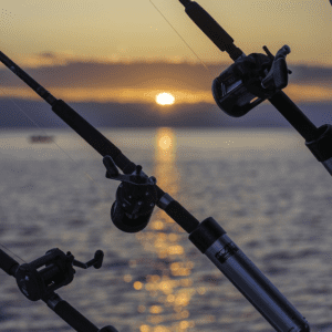 Half Day Charter
