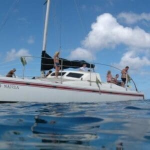 4 Hour Morning Sail & Snorkel