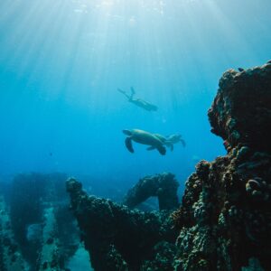 Afternoon Pali Coast Snorkel & Performance Sail