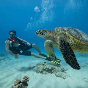 Introductory Diving