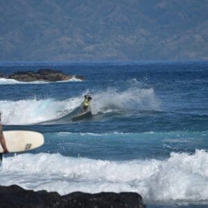 Surfari