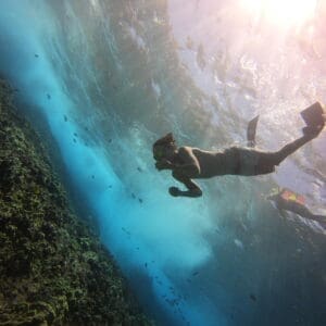 Signature Deluxe Snorkel