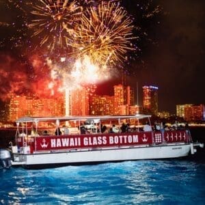 Fireworks Tour