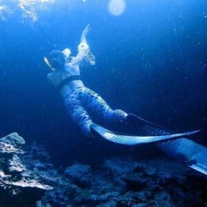 Snorkel and reef Exploration Adventure