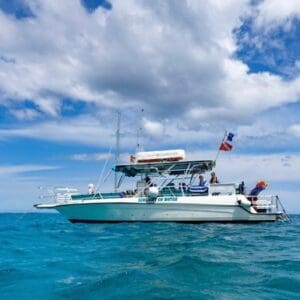 Private Charter