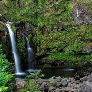 21W- Hana's Rainforest & Waterfall Experience- From Oahu
