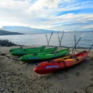 Wailea Coastline Discovery