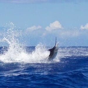 Ohana Fishing Charter