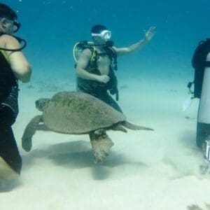 Eco Intro Dive