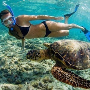 Boat Snorkeling Tour