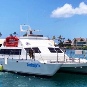 2Hour Catamaran Snorkel Private Charter(Up to 30 people)