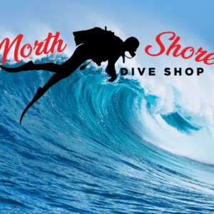 Surf Lessons