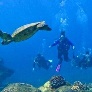 West Side Small Group Guided Shore Dive