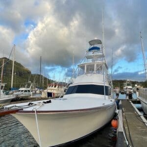 Shared Luxury Charter on 47ft Vessel 'KU'ULU KAI' Bathroom & A/C