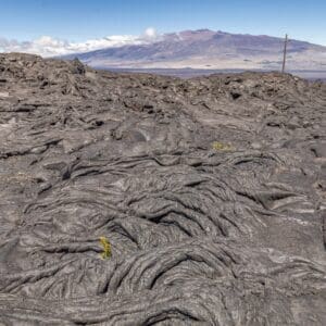 Kona Cruise Ship Guest Special - High Country Adventure