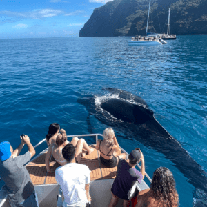 Private Na Pali Coast on the Seiko I & II (Up to 18 Passengers)