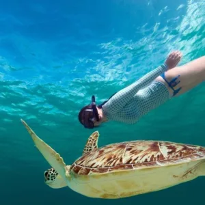 Snorkeling with turtles during two hour Waikiki tour