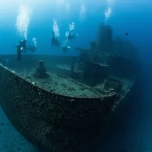 Exploring vibrant coral reefs near sunken ships