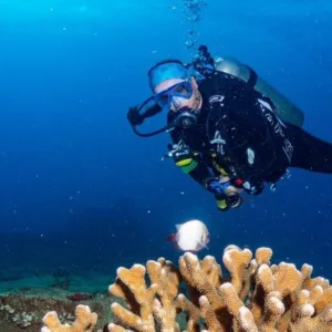 Certified divers preparing for four open water referral dives
