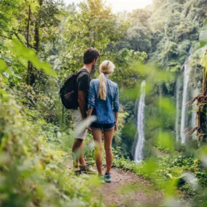 Luxury rainforest hike with private waterfall swim experience