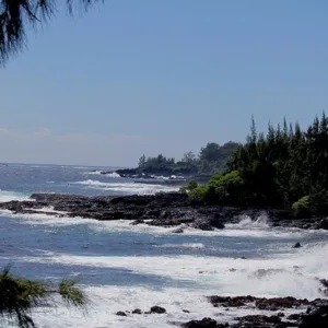Hiking trail along unique Road to Hana in Maui