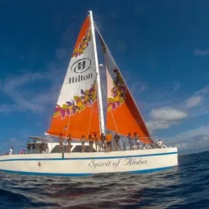 Snorkelers sailing toward sea turtles with lunch on board