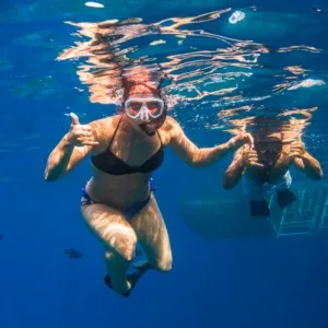 Snorkelers and dolphin watchers near Lanai from Maalaea