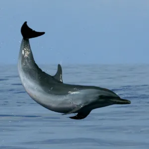 Waterfalls cascading near ocean on land and sea tour