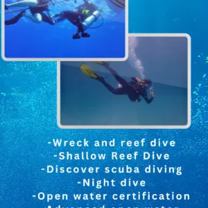 Professional scuba diving certification courses in Waikiki