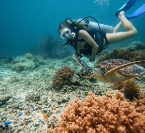 Guided morning scuba dive with manta rays