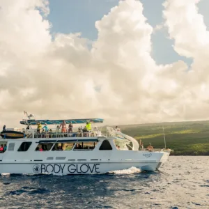 Deluxe snorkeling tour with dolphin watching in clear waters