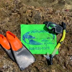 Adult snorkel gear set displayed neatly
