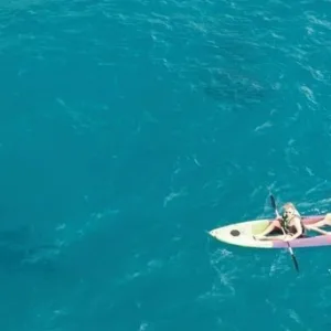 Clear bottom kayak floating on calm ocean waters