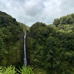 Scenic view of Akaka Falls surrounded by lush rainforest