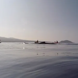 Honolua Expedition