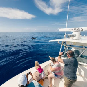 Private Whale Watch