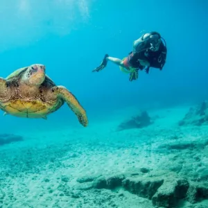 Certified divers shore diving in Kauai’s south island