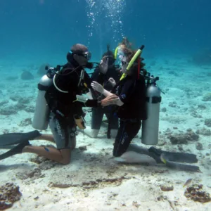 Diver practicing skills in pool setting