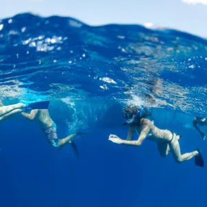 Snorkel gear including mask, fins, and snorkel