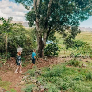 E-bike riders traveling through Kailua marsh trail