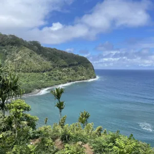 Small group hiking through lush Maui rainforest trail