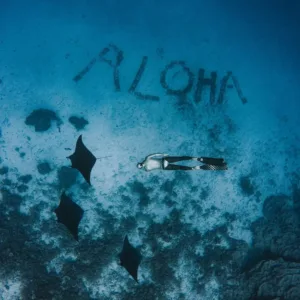 Person learning freediving safety in a swimming pool