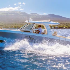 Private yacht charter for whale watching in Maui