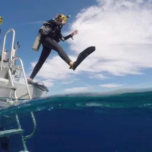 Scuba diver exploring coral reef underwater
