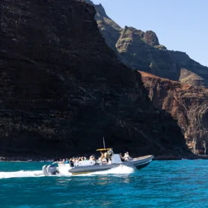 Afternoon boat tour capturing golden light on cliffs