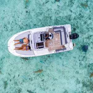 Private eco safari exploring rays and sharks