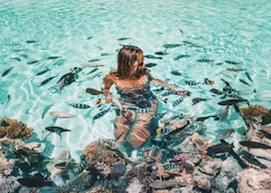 Three hour guided coral reef discovery tour