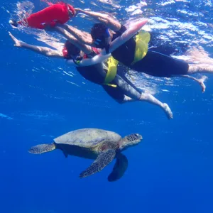 Private snorkeling tour with underwater photos included