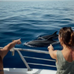 Small group seated on a boat searching for dolphins