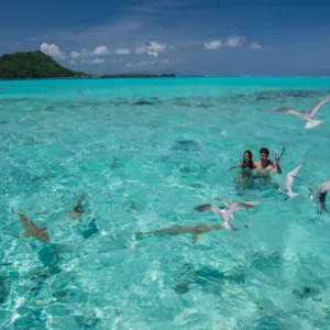 Six-hour romantic day tour with barbecue and champagne